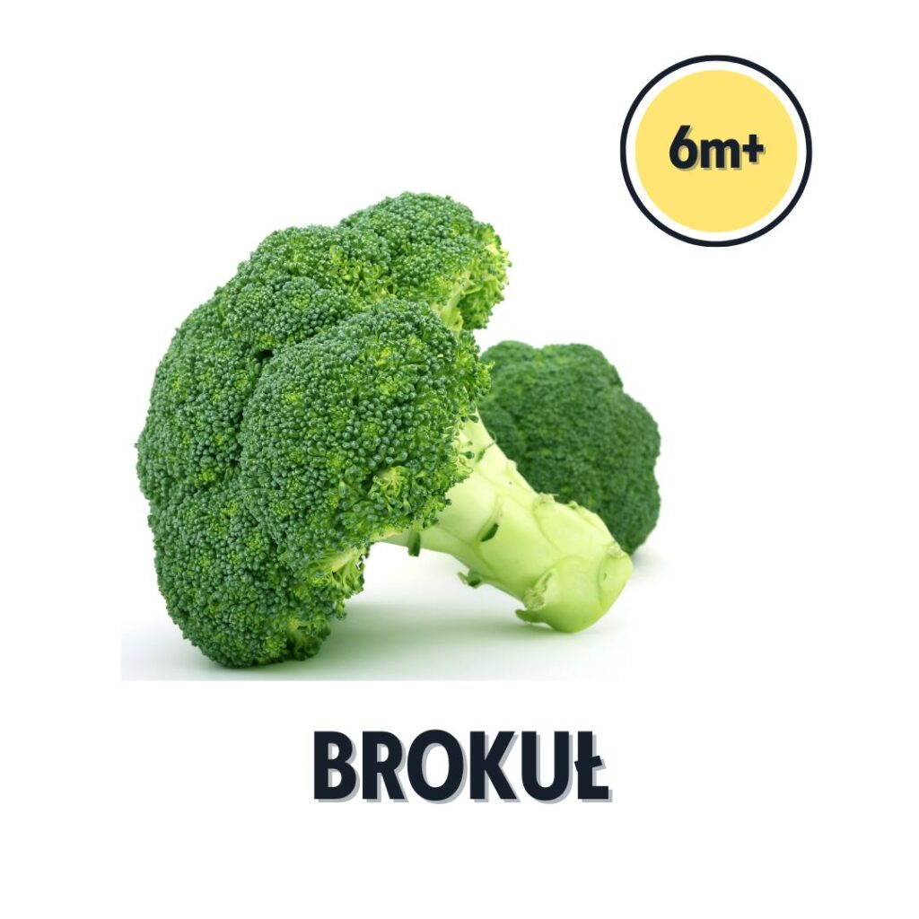 brokuł — zdjęcie z wyszukiwarki produktów z BLWpedii