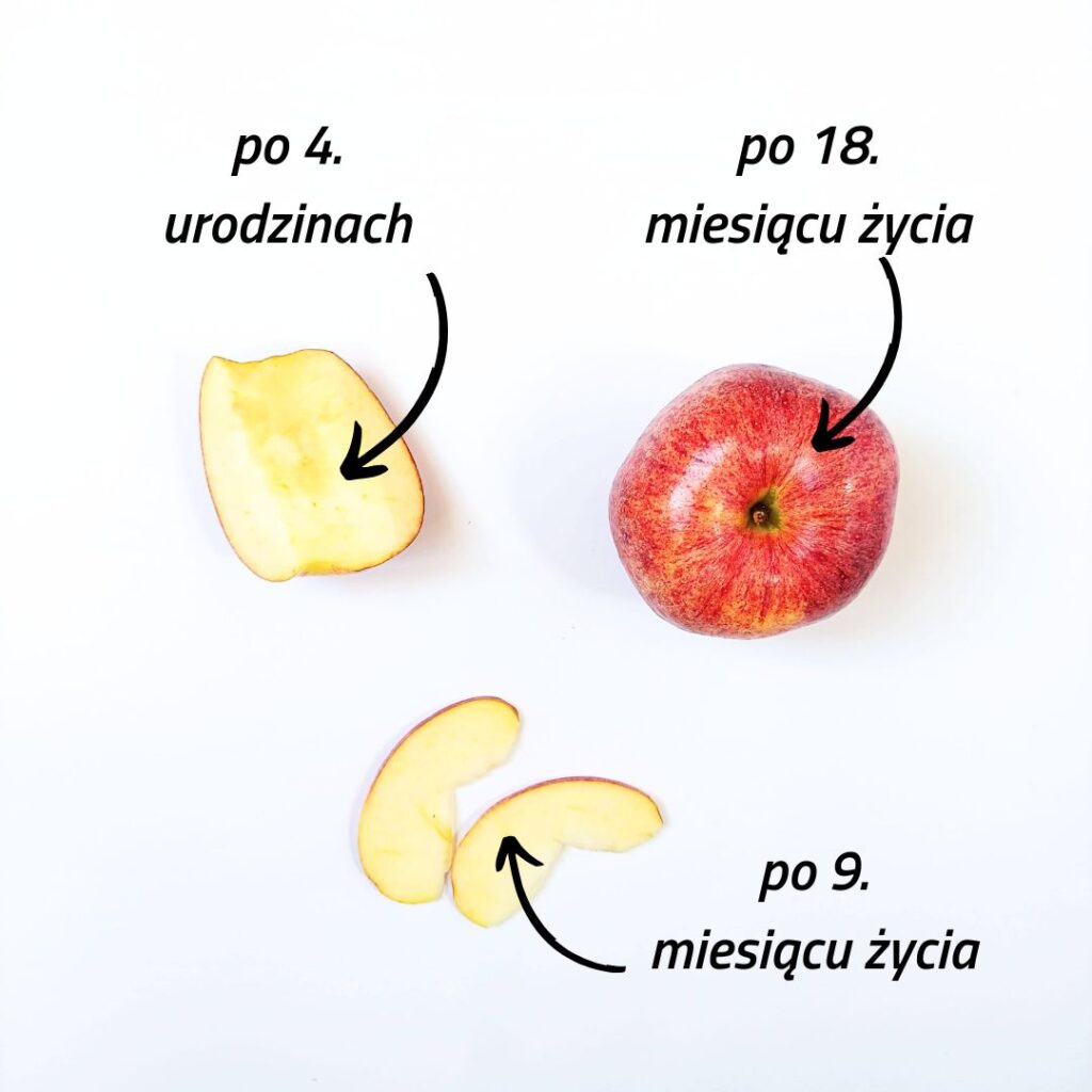 jabłko dla niemowlaka — propozycje podania kawałków jabłka maluchowi w wieku 9 i 18 miesięcy, a także 4 lat
