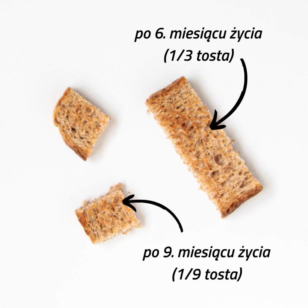 pieczywo dla niemowlaka — propozycje kawałków pieczywa odpowiednich dla dziecka w wieku 6 i 9 miesięcy