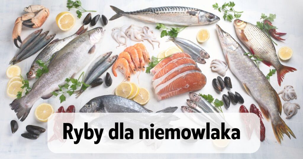 różne ryby, skorupiaki i owoce morza z napisem "Ryby dla niemowlaka"