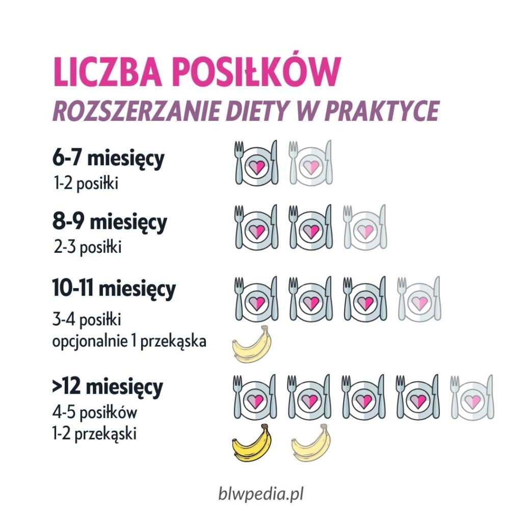 infografika przedstawiająca liczbę posiłków dla niemowlaka - polskie zalecenia