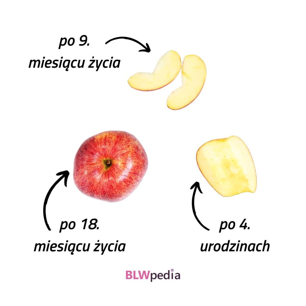 propozycje kawałków surowego jabłka odpowiednich dla dziecka w wieku 9 i 18 miesięcy oraz 4 lat