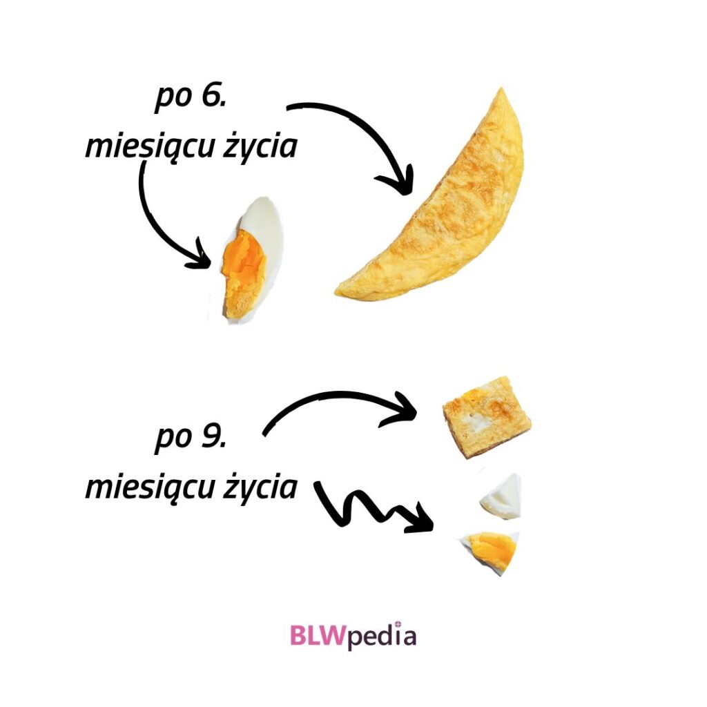 jajko dla niemowlaka - propozycje podania kawałków jajka dziecku w wieku 6 i 9 miesięcy