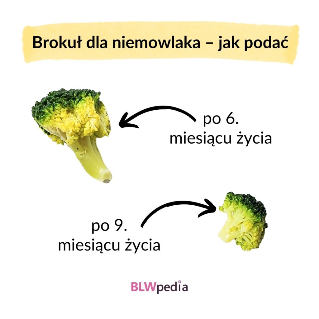 Brokuł dla niemowlaka: całe różyczki po 6. miesiącu życia i mniejsze kawałki po 9. miesiącu