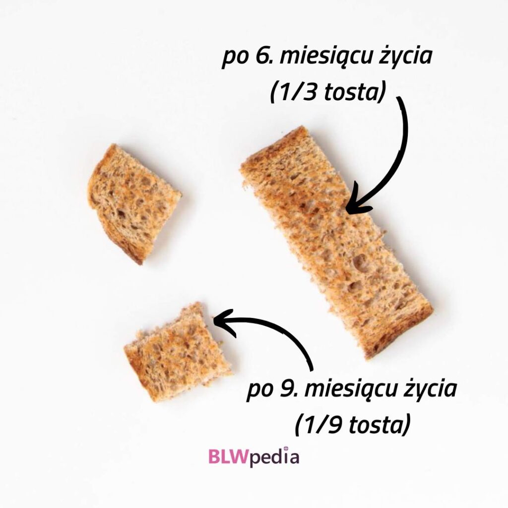 pieczywo dla niemowlaka — propozycje kawałków pieczywa odpowiednich dla dziecka w wieku 6 i 9 miesięcy
