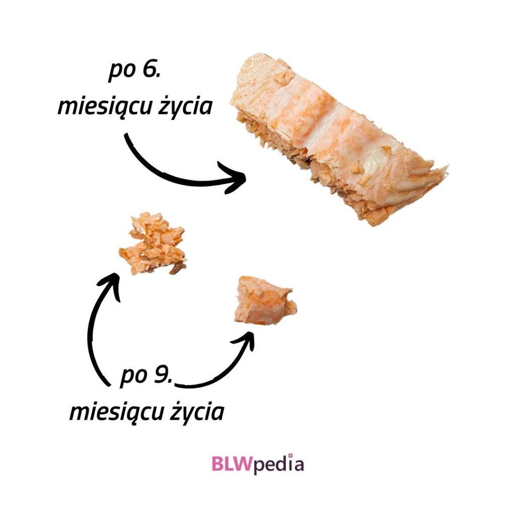 ryby dla niemowlaka - propozycje kawałków ryby dla dziecka w wieku 6 i 9 miesięcy