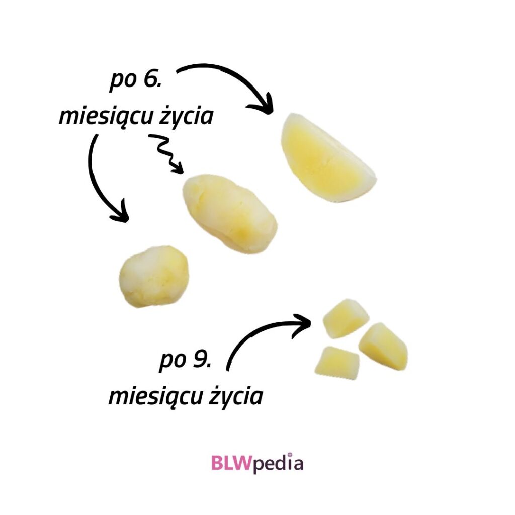 ziemniaki dla niemowlaka — propozycja podania ziemniaka dla dziecka, które ukończyło 6 i 9 miesięcy