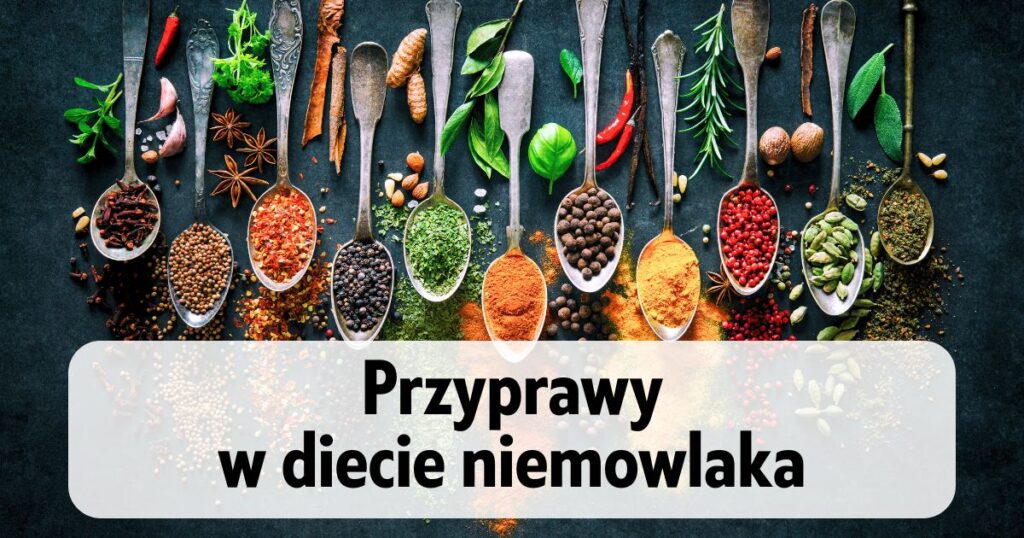 łyżeczki z różnymi przyprawami z napisem "Przyprawy w diecie niemowlaka"