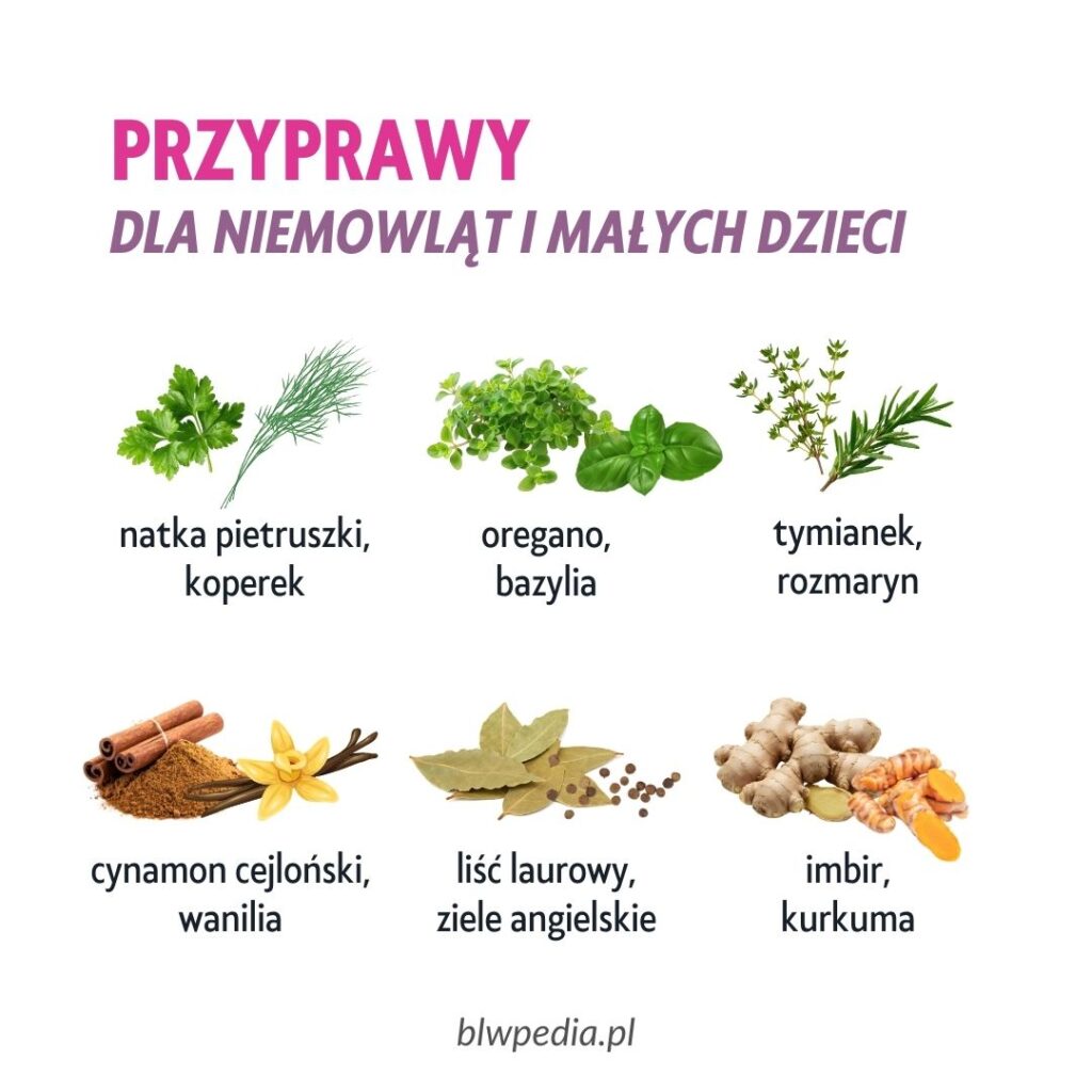 Przyprawy odpowiednie dla niemowląt i małych dzieci - koperek, natka, bazylia, oregano, tymianek, rozmaryn, cynamon cejloński, wanilia, liść laurowy, ziele angielskie, imbir, kurkuma
