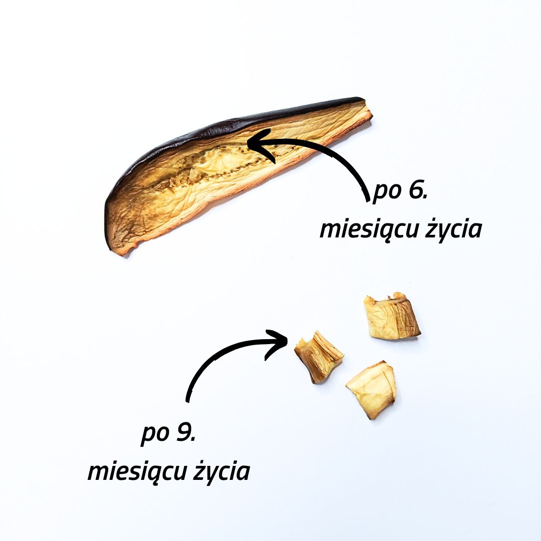 propozycje kawałków bakłażana odpowiednich dla dziecka w wieku 6, 9 i 12 miesięcy