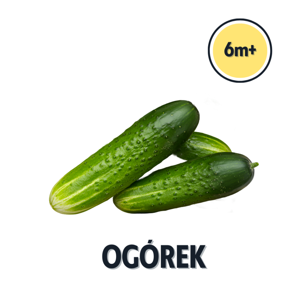 ogórek gruntowy dla niemowlaka