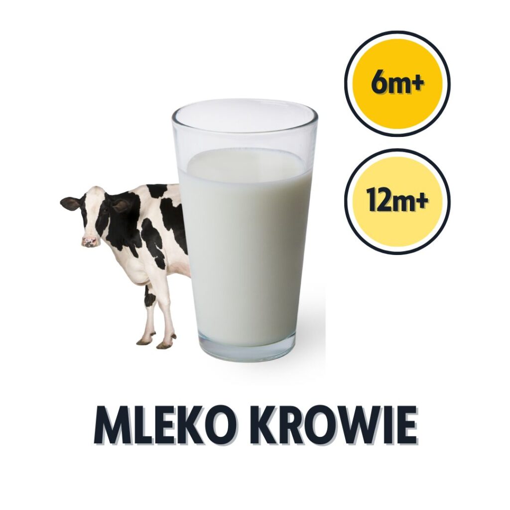 mleko krowie dla niemowlaka