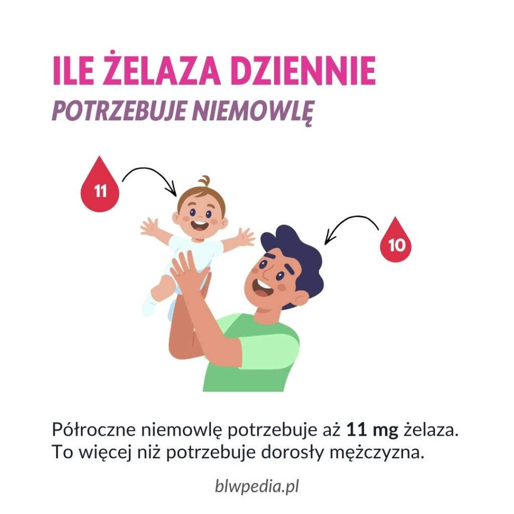 obrazowe przedstawienie ile żelaza dziennie potrzebuje niemowlę, a ile dorosły mężczyzna