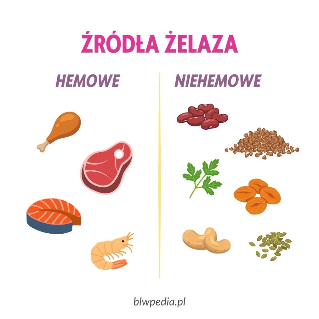 źródła żelaza hemowego i niehemowego zawierające grafiki np. mięsa, fasoli, natki pietruszki