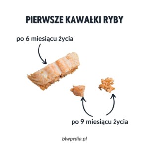 pierwsze kawałki ryby - sposoby podania zapobiegające zadławieniu