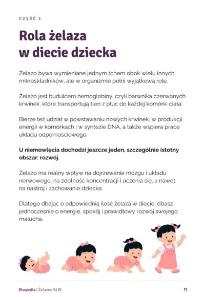 Żelazne BLW strona 11 - Rola żelaza w diecie dziecka
