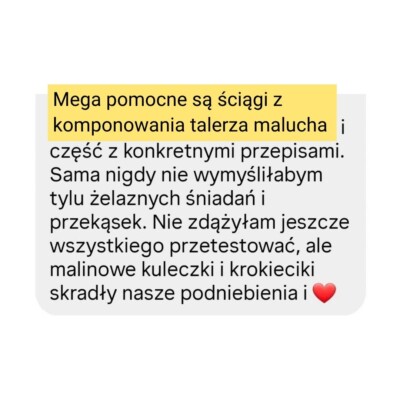 opinia na temat ebooka "Żelazne BLW" wydanego przez BLWpedię